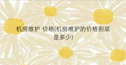 机房维护 价格(机房维护的价格到底是多少)